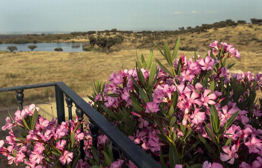 Naveterra-Hotel Rural Alandroal Kültér fotó